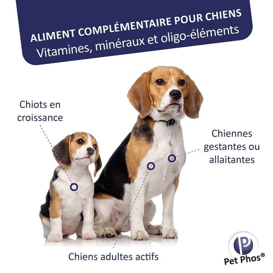 Ceva Pet Phos Growth Ca/P=2 puppy 100 tablets