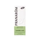 Pranarôm Ätherische Öle Lavendel vera Bio ätherisches Öl 10ml