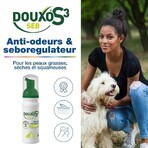 Ceva Douxo Foam without rinsing Anti-odor and sebum-regulating S3 Seb oily skin or dandruff 150 ml