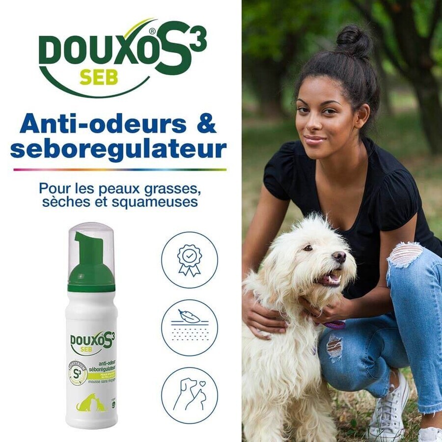 Ceva Douxo Foam without rinsing Anti-odor and sebum-regulating S3 Seb oily skin or dandruff 150 ml Ceva Douxo Foam without rinsing Anti-odor and sebum-regulating S3 Seb oily skin or dandruff 150 ml