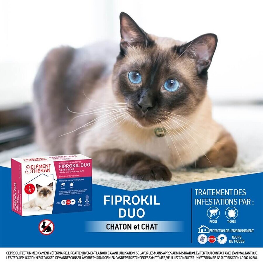 Clement-Thekan Fiprokil Duo antipulci e antizecche per gatti 1–6 kg 0.5 ml x 4 pipette