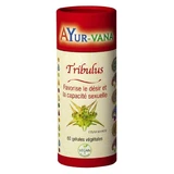Ayur-Vana Tribulus Fördert die Lust 60 Kapseln