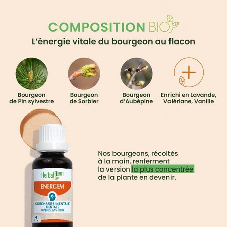 Herbalgem Gemmotherapie Complexen Mentale Overbelasting Bio 30ml
