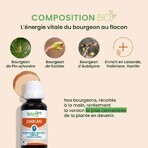 Herbalgem Gemmotherapie Komplexe Mental Overload Bio 30ml Herbalgem Gemmotherapie Komplexe Mental Overload Bio 30ml