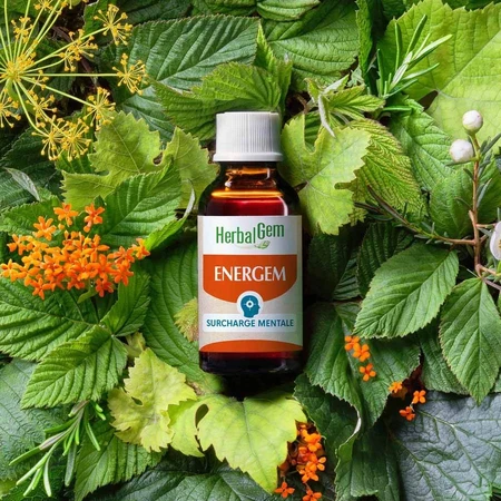 Herbalgem Gemmotherapie Complexen Mentale Overbelasting Bio 30ml