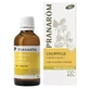 Pranarôm Les Huiles Végétales Huile Vegetale Calophylle Bio 50 ml