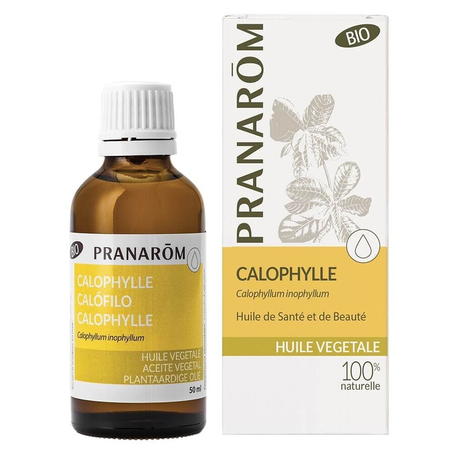 Pranarôm Pflanzliche Öle Bio Calophylla Öl 50 ml