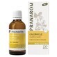 Pranar&#244;m Plantaardige Oli&#235;n Biologische Calophylla Olie 50 ml