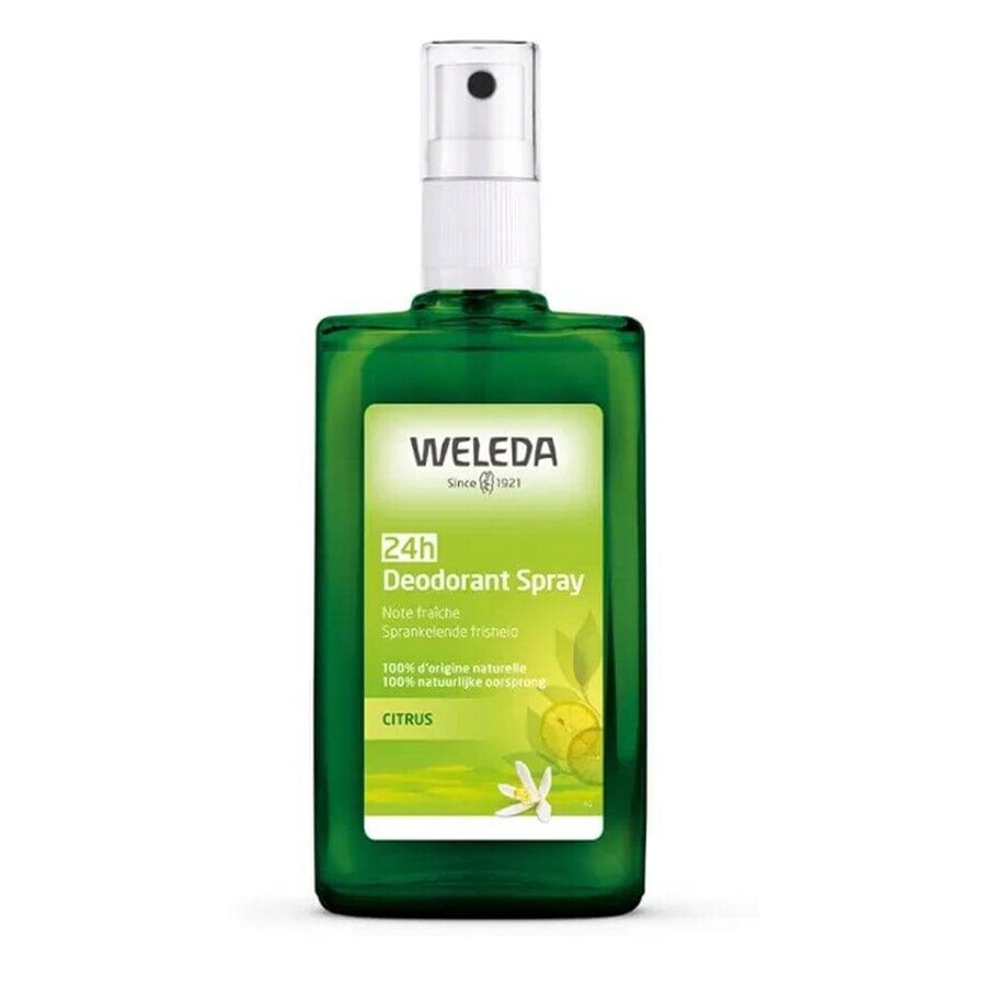 Buy Weleda Lemon Citrus Deodorant Bio Efficacité 24h 100ml Weleda Lemon Citrus Deodorant Bio Efficacité 24h 100ml