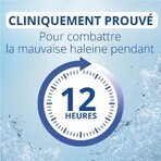 Cb12 Bain De Bouche Gencives Sensibles Menthe Fraîche 12h 250ml Cb12 Bain De Bouche Gencives Sensibles Menthe Fraîche 12h 250ml