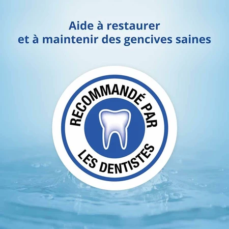 Cb12 Zahnfleischbehandlung Bad Menthe Fraîche 250ml