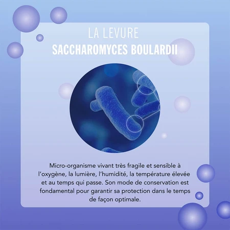Arkopharma Arkolevure + Inuline 30 Gelule