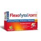 Tilman Flexofytol Forte 28 tablets