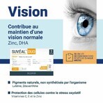 Densmore Maintaining normal vision 60 capsules