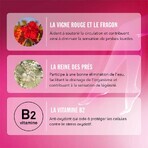 Arkopharma Veinoflux Ligero y Tónico Piernas 60 Cápsulas Arkopharma Veinoflux Ligero y Tónico Piernas 60 Cápsulas