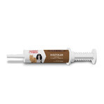 Clement-Thekan Digeskan Oral Paste for Digestive Disorders For Dogs and Cats 60 ml