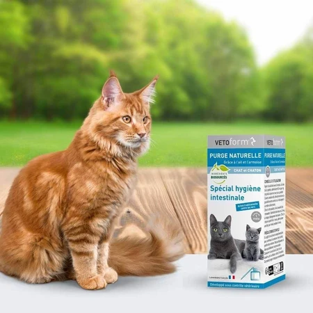 Vetoform Kitten Purging Solution 50ml