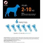 Frontline Spot-on Perro 2-10kg 6 pipetas 0,67 ml Frontline Spot-on Perro 2-10kg 6 pipetas 0,67 ml