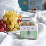 Mycelab Cervello B Memoria e concentrazione 70 Geluli