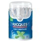 Ricqles Zahnseide 2 in 1 - 50 Einheiten Juvasante
