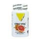 Vit&#39;All+ Citro Vital 100 Tablets
