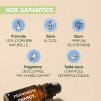 Pranarôm Aromaboost Roll-On Bio für den Schlaf 5ml Pranarôm Aromaboost Roll-On Bio für den Schlaf 5ml