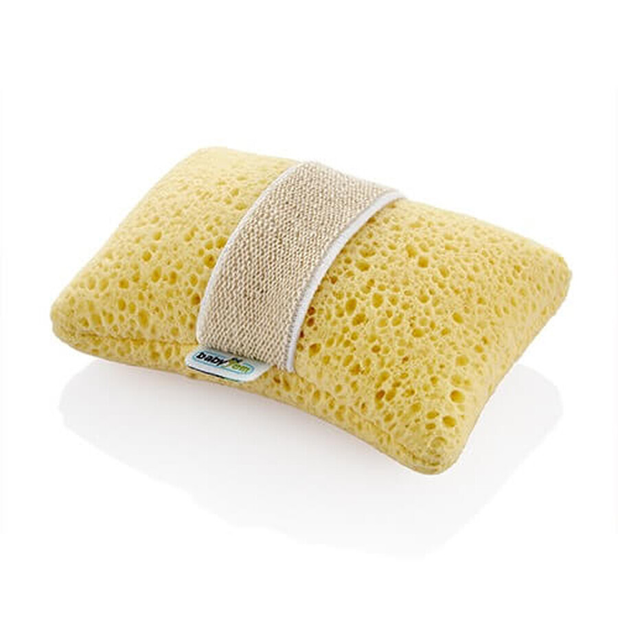 Buy Glove sponge with inner soap pocket, BabyJem Glove sponge with inner soap pocket, BabyJem