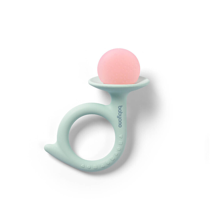 Anello gengivale Melc, 0 mesi+, Verde/Rhoz, Babyono