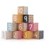 Wooden cubes, 6 months+, Learn to count, BigJigs