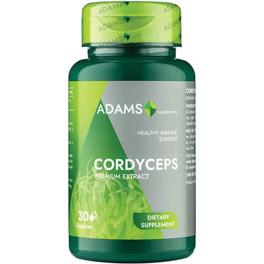 Cordyceps, 300 mg, 30 gélules, Adams