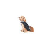 Imperméable pour Chien Dog Gone Smart Noir 30 cm Imperméable pour Chien Dog Gone Smart Noir 30 cm