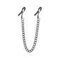 Nipple Clamps NS Novelties DC2