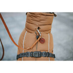 Vêtements pour animaux de compagnie Hunter PAXSON Marron Polyester Vêtements pour animaux de compagnie Hunter PAXSON Marron Polyester