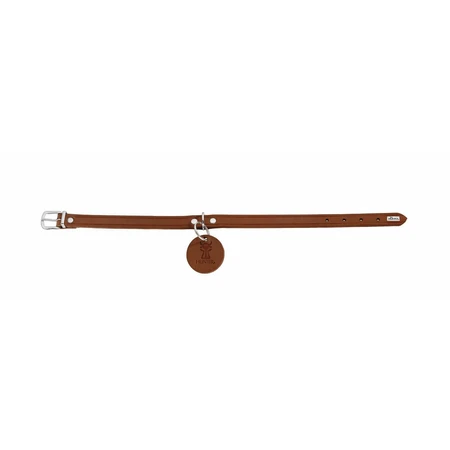 Collar para perros Hunter Aalborg Marrón XS 24-29 cm