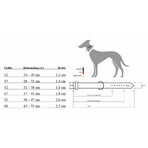 Hondenhalsband Hunter Aalborg Bruin XS 24-29 cm