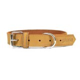 Hondenhalsband Gloria Oasis Geel (1,5 x 40 cm)