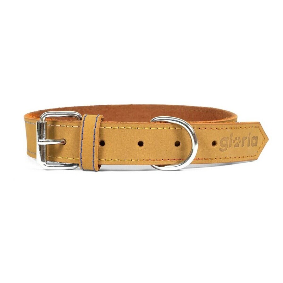 Shop Hundehalsband Gloria Oasis Gelb 40 cm (1,5 x 40 cm) Hundehalsband Gloria Oasis Gelb 40 cm (1,5 x 40 cm)