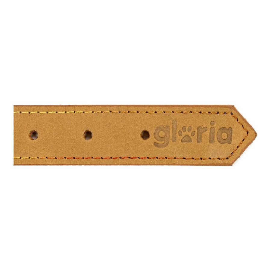 Hundehalsband Gloria Oasis Gelb 40 cm (1,5 x 40 cm) Hundehalsband Gloria Oasis Gelb 40 cm (1,5 x 40 cm)