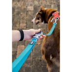 Lesă pentru câine Red Dingo Mov