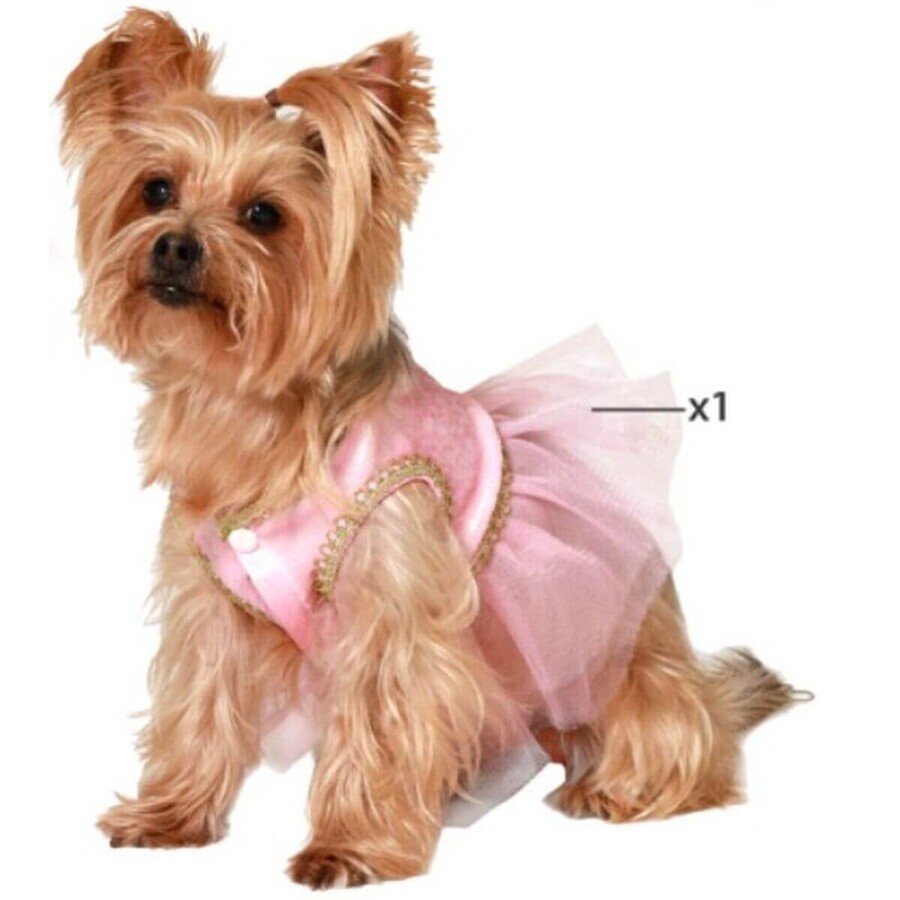Winkel op Kostuum voor honden Maat L Balletdanseres Kostuum voor honden Maat L Balletdanseres
