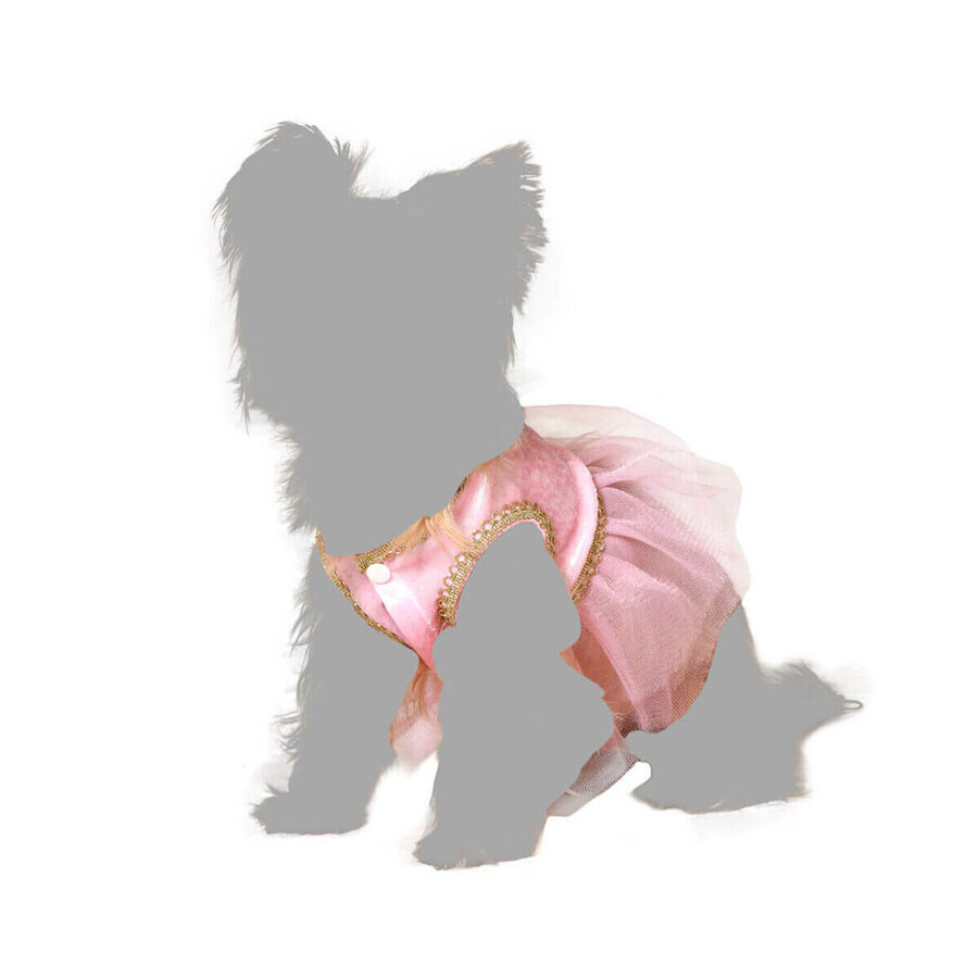 Kostuum voor honden Maat L Balletdanseres Kostuum voor honden Maat L Balletdanseres