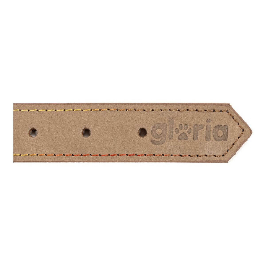 Collier pour Chien Gloria Oasis Beige (1,2 x 35 cm) Collier pour Chien Gloria Oasis Beige (1,2 x 35 cm)