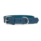 Hondenhalsband Gloria Oasis Blauw (1,5 x 40 cm)