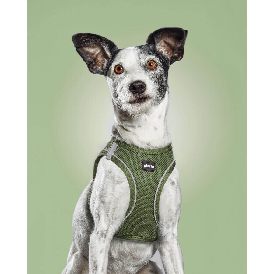 Ham pentru câini Gloria 51-52 cm Verde L 33,4-35 cm Ham pentru câini Gloria 51-52 cm Verde L 33,4-35 cm