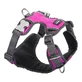 Hamaca para Perro Dingo Rojo Acolchada Fucsia Talla XS