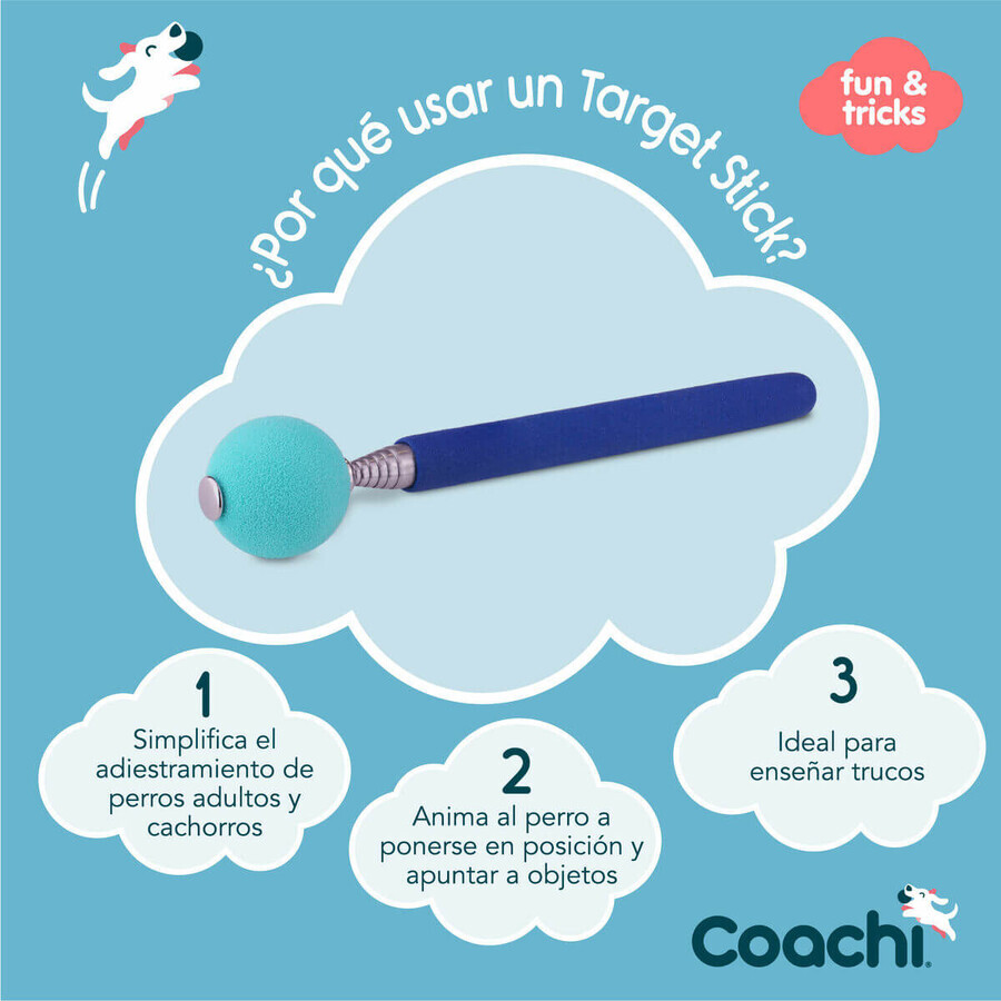 Trainingsspielzeug Coachi Stick Blau Trainingsspielzeug Coachi Stick Blau