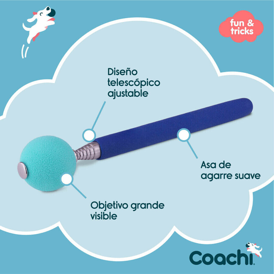 Trainingsspielzeug Coachi Stick Blau Trainingsspielzeug Coachi Stick Blau