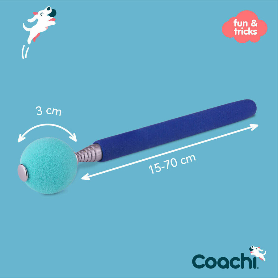 Trainingsspielzeug Coachi Stick Blau Trainingsspielzeug Coachi Stick Blau