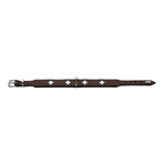Collier pour Chien Hunter Swiss 30-34.5 cm