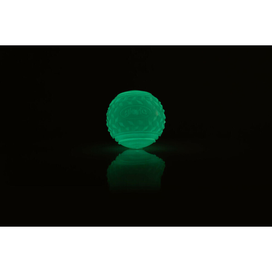 Ball für Haustiere Gloria PLAY AND RUN Gelb TPR 6,35 cm Ball für Haustiere Gloria PLAY AND RUN Gelb TPR 6,35 cm